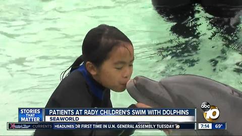 Patients at Rady Children's swim with dolphins