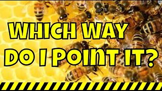 Beekeeping for Beginners | Do bees care which direction they beehive faces? #beekeeping #howto #diy