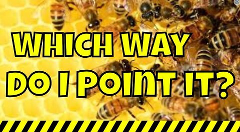 Beekeeping for Beginners | Do bees care which direction they beehive faces? #beekeeping #howto #diy