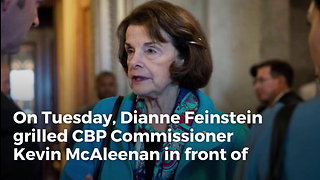 Feinstein Tries To Corner Border Official On Tear Gassing Caravan Kids, He Smacks Her Down Over & Over