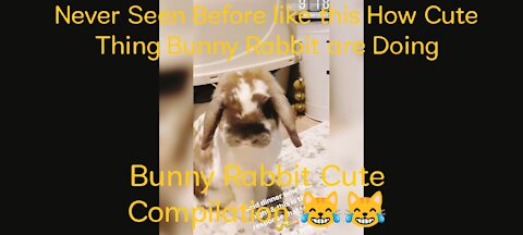 Never Seen Before Bunny Rabbit 😂 CUTEST Compilation | what they do in home 🏠| Funny And Cute Rabbit