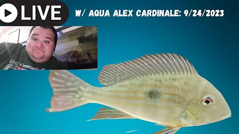 LIVE! W/ Aqua Alex Cardinale: 9/24/2023