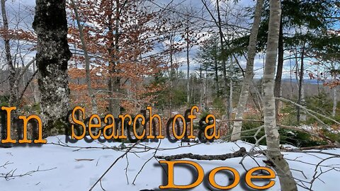 In Search of a Doe