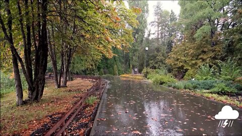 A rainy autumn day in the park