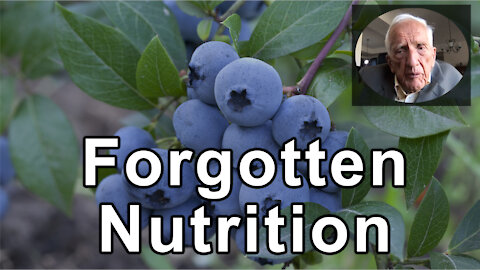Nutrition Forgotten, For Two Centuries - T. Colin Campbell, Ph.D. - Offstage Interview 2021