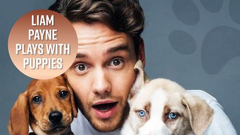 All the times Liam Payne was cuter than puppies