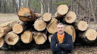 Staging Firewood Logs for Pick Up