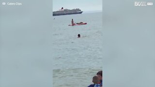 Foca sobe para cima da prancha durante passeio de paddle