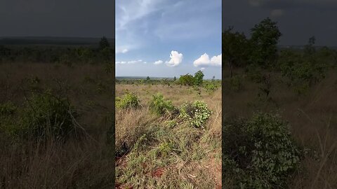 Vista Panorâmica do Parque Nacional de Brasília