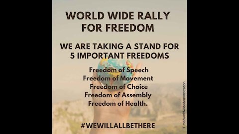 Dr. Larry Palevsky@紐約時代廣場為自由、人權發聲