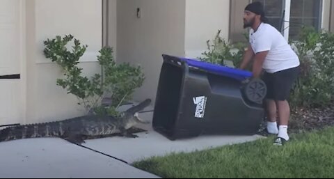 WATCH: Army veteran traps gator in trash can