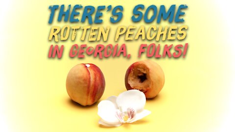 There's Some Rotten Peaches In Georgia, Folks! - GEORGIA AUDIT UPDATE