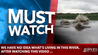 We have no idea what’s living in this river, after watching this video ...