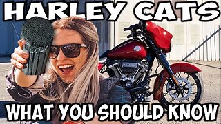 FAQ - Harley Exhaust & Catalytic Converter Removal