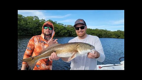 Tampa Bay Snook and Redfish Charter with Head First Fishing