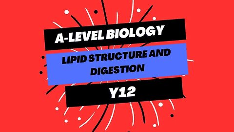 A Level Biology Y12 Lipid Structure and Digestion