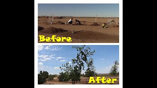 Our 2 Year Journey | Building a Regenerative, Desert Farm