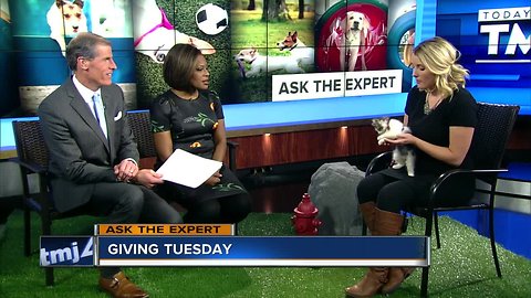 Ask the Expert: Giving Tuesday