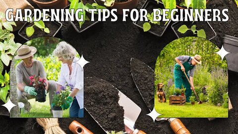 9 Beginner Gardening Mistakes to Avoid [gardening tips for beginners]