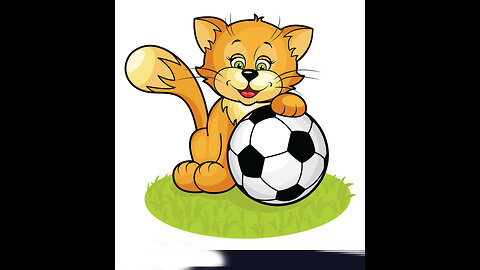 cat is play football