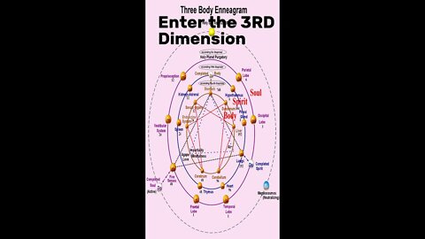 Three Body Enneagram #shorts