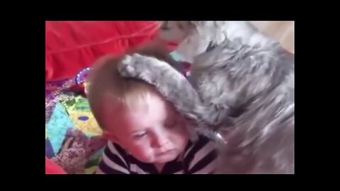 Kids Funny Video ★ Funny Videos Of Kids