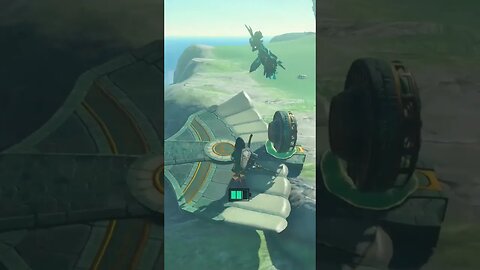 Link's flying lessons. - Tears of the Kingdom #zelda