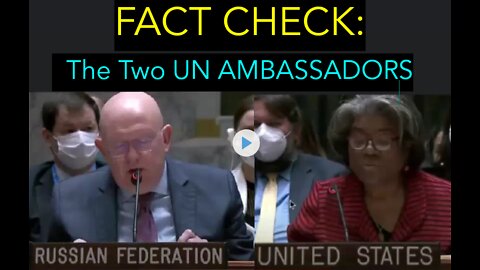 (Fact Check) Who Was Telling the Truth to the UN: The Russian Ambassador or the US Ambassador?