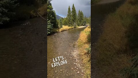 Coyote Valley Trail in Rocky Mountain National Park! #shorts