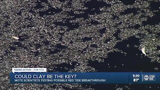 Mote scientists testing possible red tide breakthrough