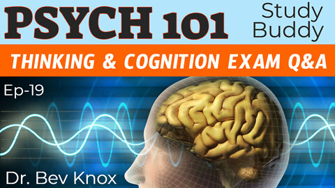 Psychology Exam Q&A for Thinking & Cognition - Psych 101 “Study Buddy” Series