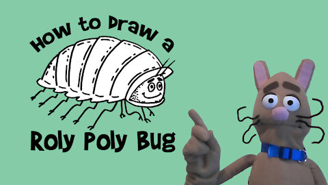 How to Draw a Roly Poly Bug