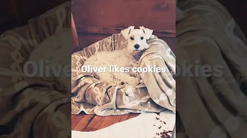 Oliver likes Cookies!
