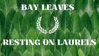 Bay Leaf - Resting on Laurels