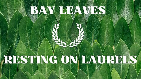 Bay Leaf - Resting on Laurels