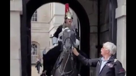 Female kings guard shouts get off at tourist holding on to the reins #horseguardsparade