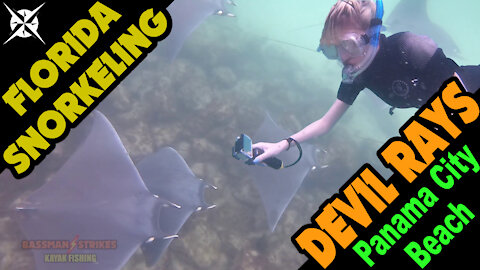 Snorkeling The Florida Gulf Coast with Devil Rays And Other Marine Life (St. Andrews State Park, Panama City Beach)
