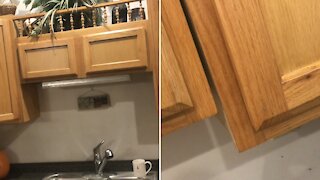 how to INSTALL “kitchen cabinets”