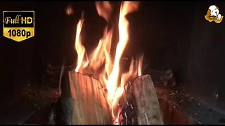 REAL LOG FIRE: Crackling Fire Ambience, for Study or Relaxing.