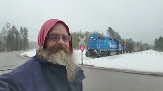 Running Into Trouble Switching, Plus Close Call With A Deer Too! #trains #trainvideo | Jason Asselin