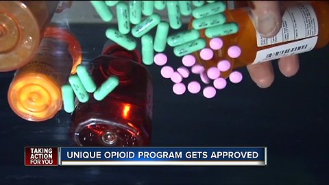Manatee Co. uses former drug users to coach current users