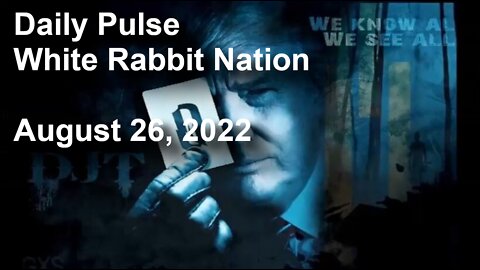 Daily Pulse - August 26, 2022