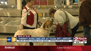 Therapy dogs take off at Tulsa International Airport