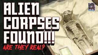 ARE THEY REAL? | Alien Corpses Found! | LNWC Main Topic