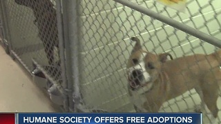 Indy Humane Society offers free adoptions