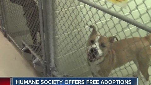 Indy Humane Society offers free adoptions