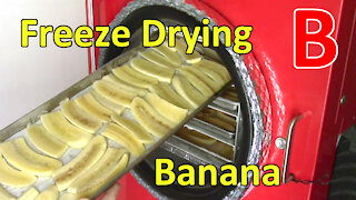 Freeze Drying Banana Slices