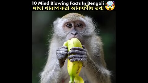 Mind_Blowing_Facts_in_Bengali_🤯😱_।_Amazing_Facts_।_Animal_