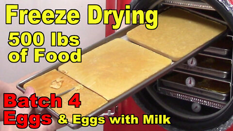 Freeze Drying Your First 500 lbs of Food - Batch 4 - Eggs & Eggs with Milk, 11 lbs