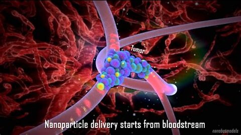 Programable Magnetic Memory Nano Lipid Particulates, What are the Consequences?